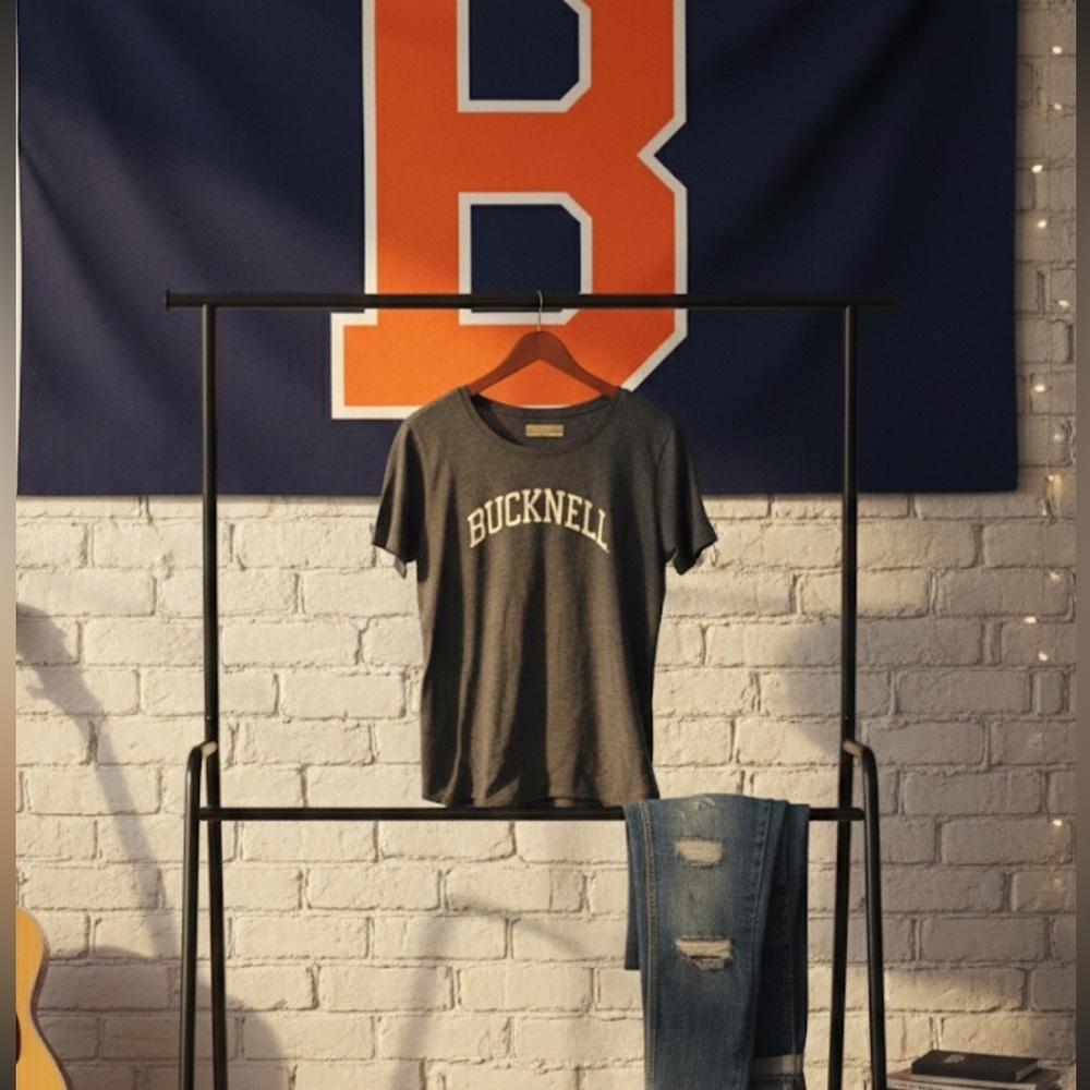 Bucknell Blue-Gray T-Shirt size large unisex